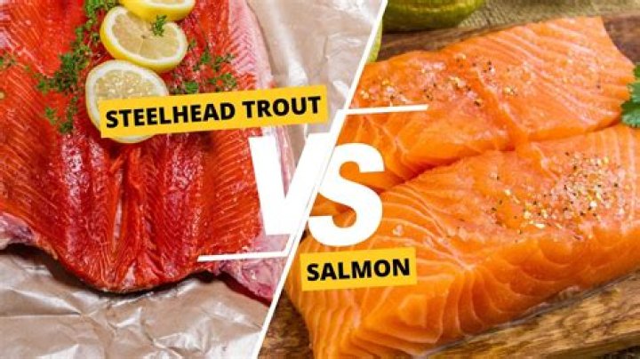 Can you eat raw steelhead?