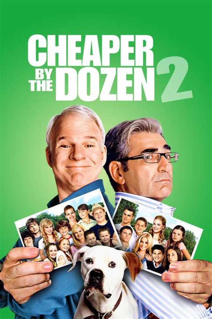 Cheaper by the Dozen 2 - Cast, Ages, Trivia
