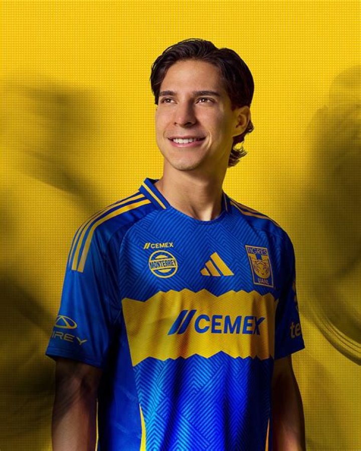 Diego Navarrette Bio (Wiki) 