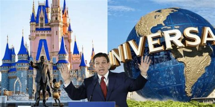 Disney Docket - Age, Family, Bio