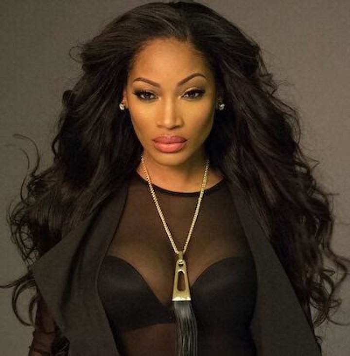 Erica Dixon Bio (Wiki) 