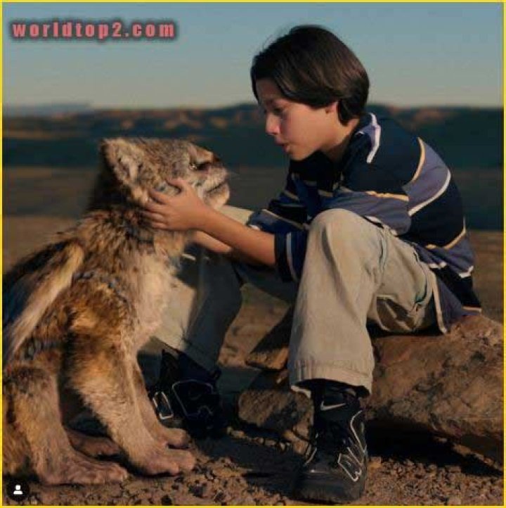 Evan Whitten Bio (Wiki) 