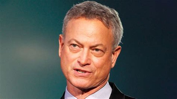 Gary Sinise Bio (Wiki) 