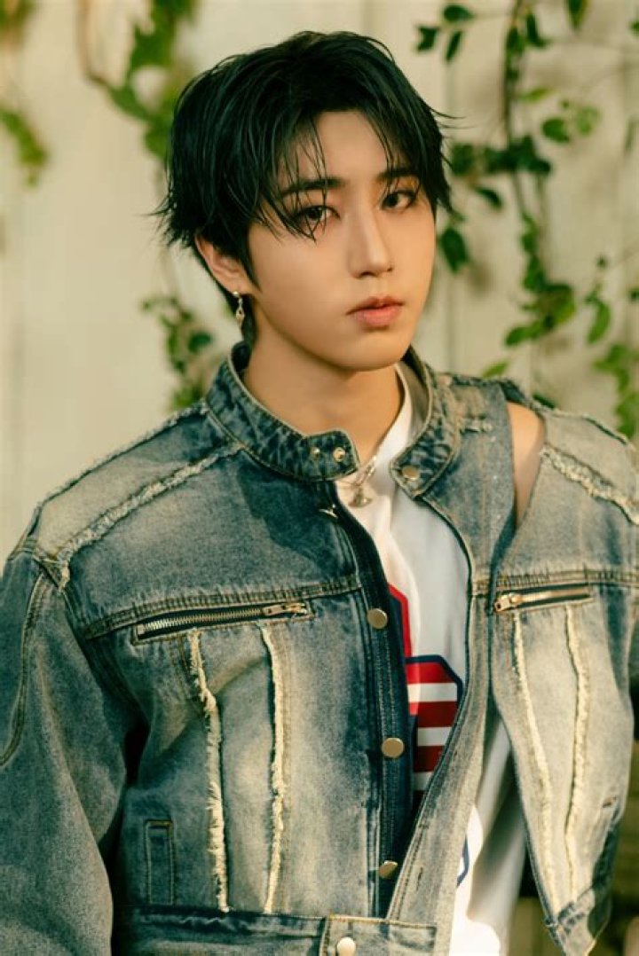 Han Jisung Bio (Wiki) 