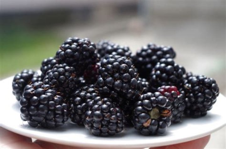 How many cups of blackberries are in a pound?