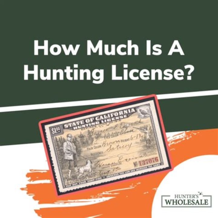 How much is a lifetime hunting license in TN?