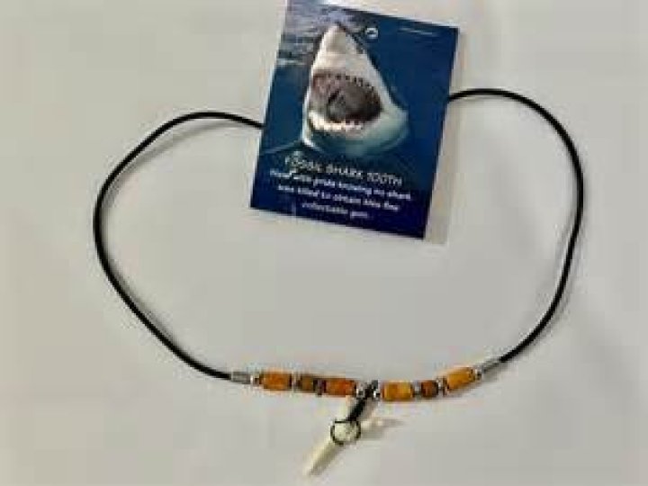 Is shark tooth necklace good Terraria?