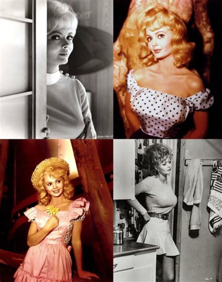 Jeannine Riley Bio (Wiki) 