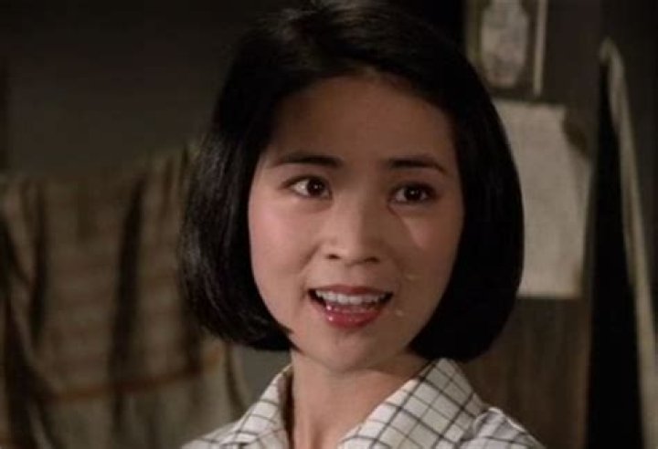 Joan Lin Bio (Wiki) 