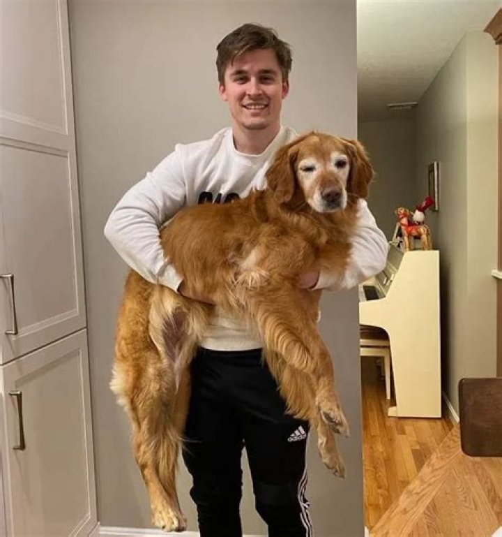 Ludwig Ahgren Pets - Celebrity Pets