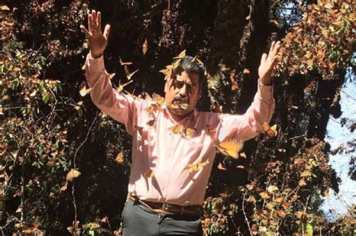 Marc Gomez Bio (Wiki) 