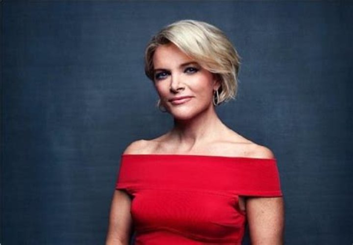 Megyn Kelly Bio (Wiki) 