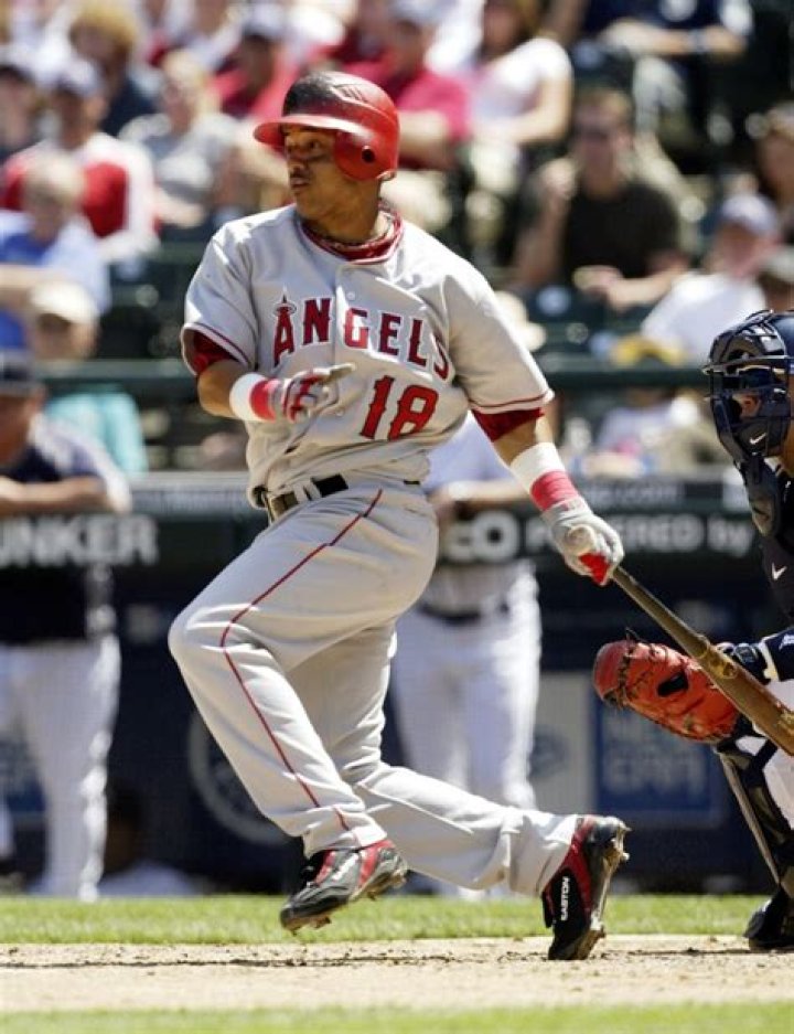 Orlando Cabrera Net Worth - Wiki, Age, Weight and Height, Relationships, Family, and More