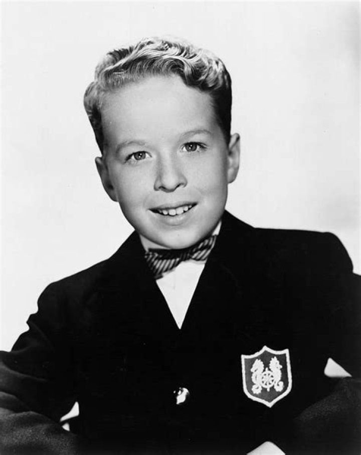 Rusty Hamer - Trivia, Family, Bio