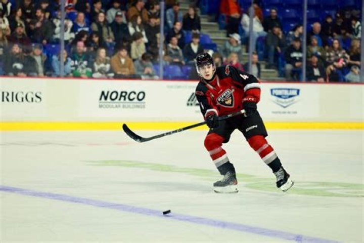 Ryan Lin - Age, Family, Bio