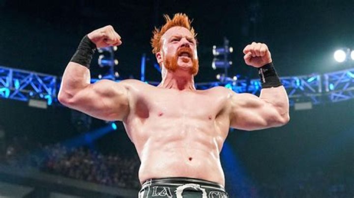 Sheamus Bio (Wiki) 