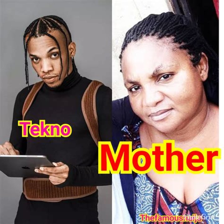 Tekno Biography: Real Name, Age, Parents, Hometown, Girlfriend, Career, Awards, Instagram, Facebook, Twitter, Latest Songs