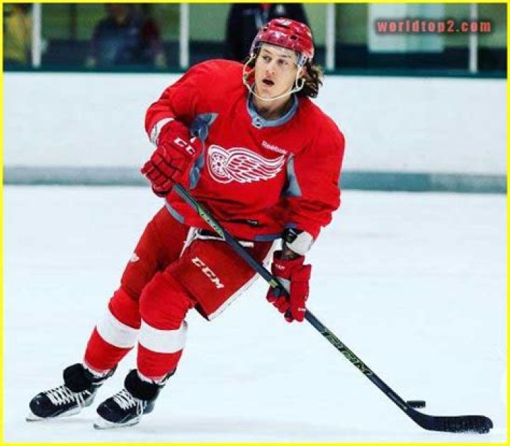 Tyler Bertuzzi Bio (Wiki) 