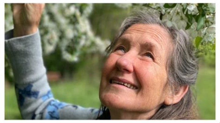 Tyler O'Neill - Age, Family, Bio