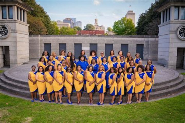 What are the best sororities at University of Tennessee?