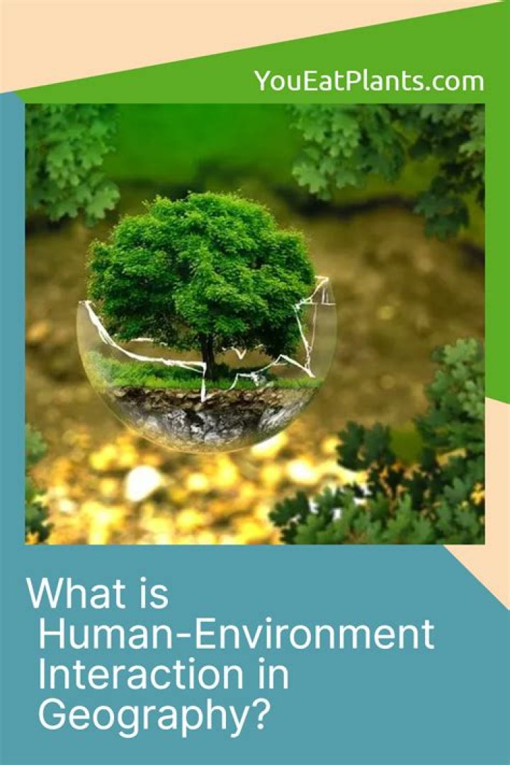 What does human environment interaction mean in geography?