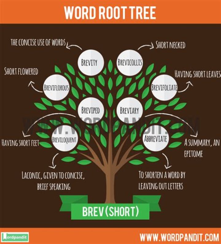 What does the word BREV mean?