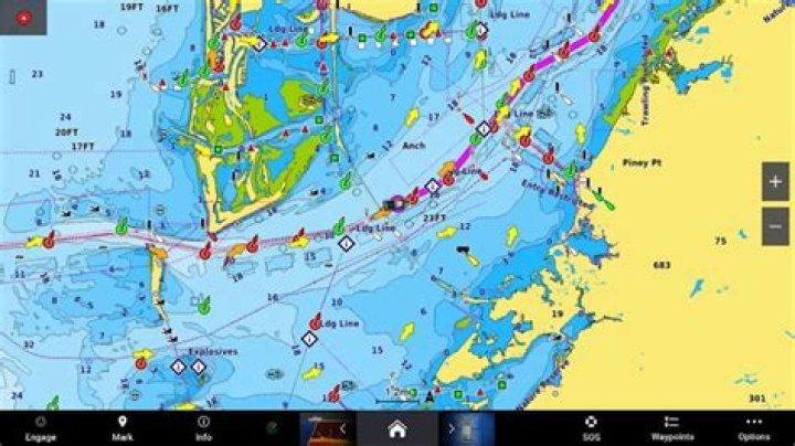 What information would be included on a nautical chart of a harbor?