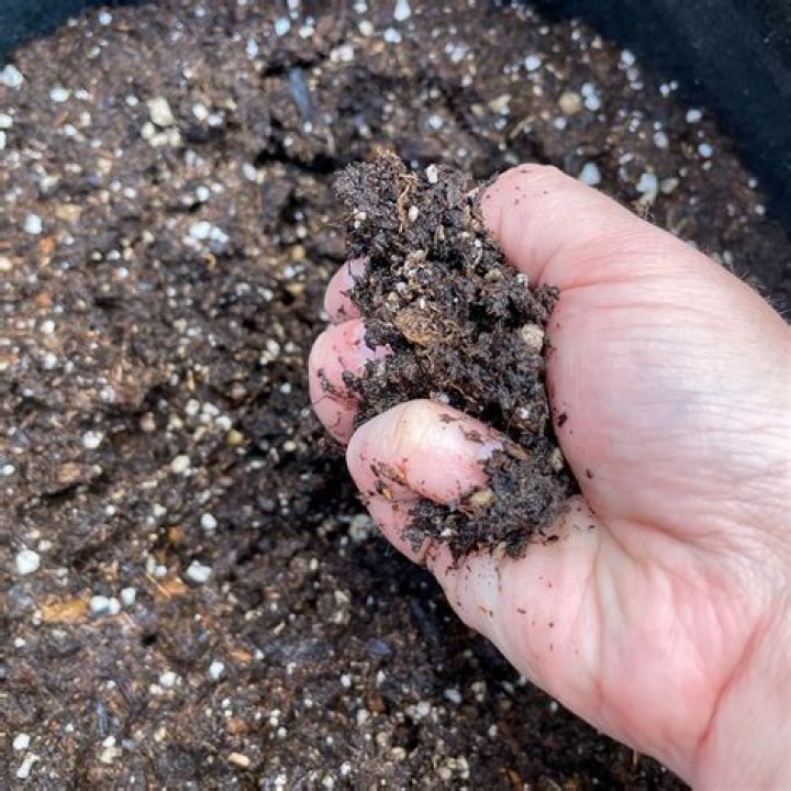 What is fast draining potting soil?