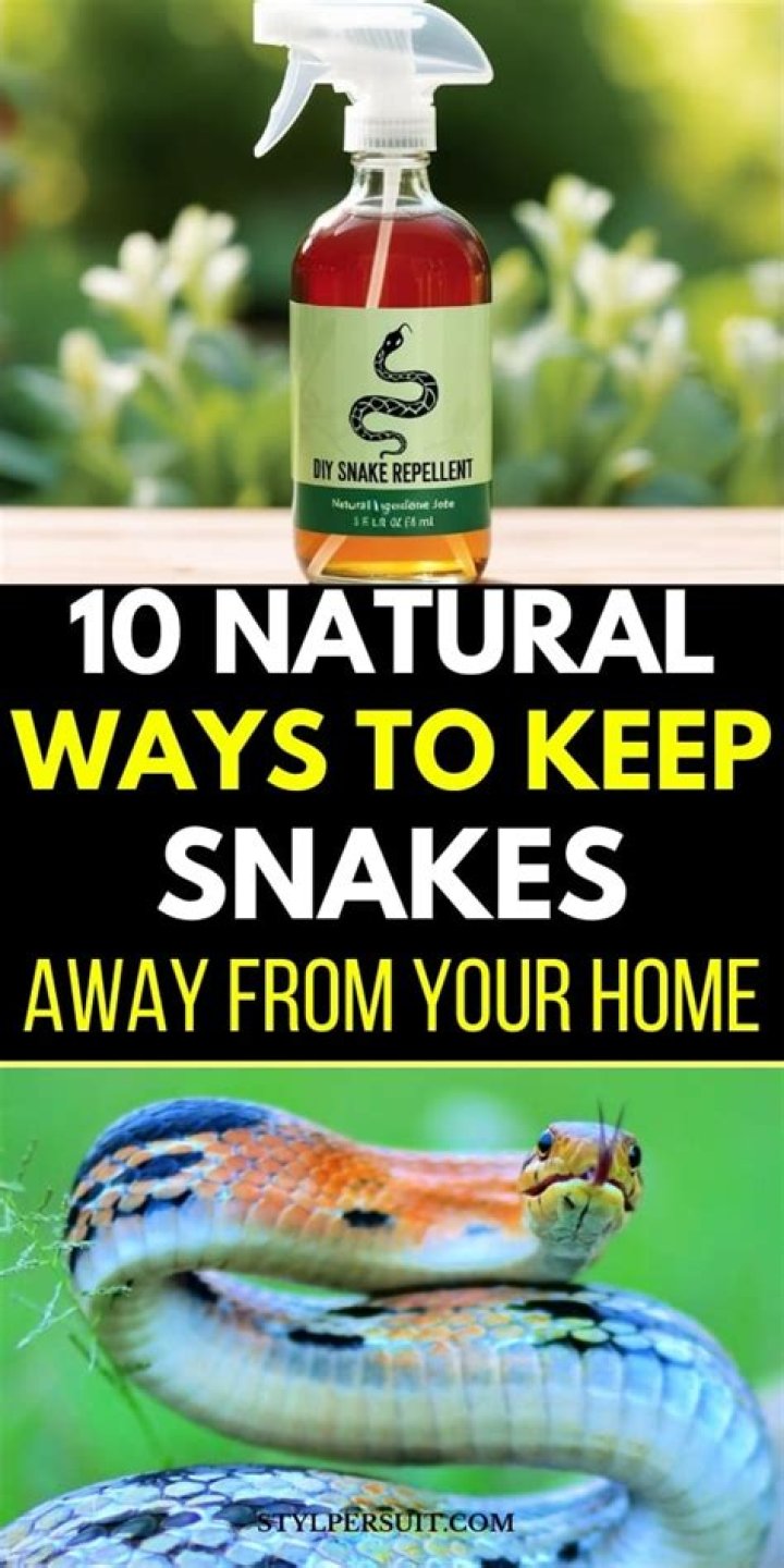 What is the best home remedy to keep snakes away?