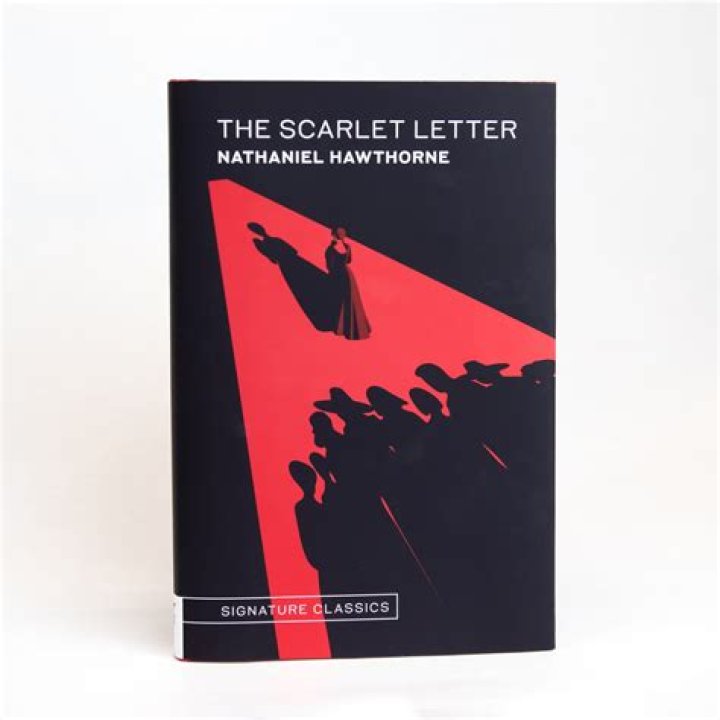 What is the importance of Chapter 8 in The Scarlet Letter?