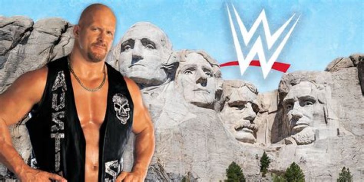 What is the net worth of Stone Cold Steve Austin?