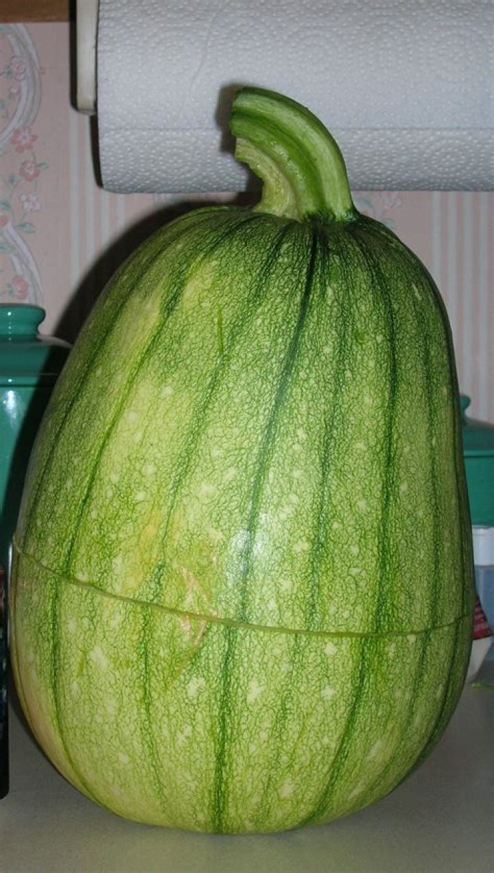 What kind of squash looks like a watermelon?