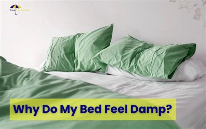 Why does my bed feel damp?